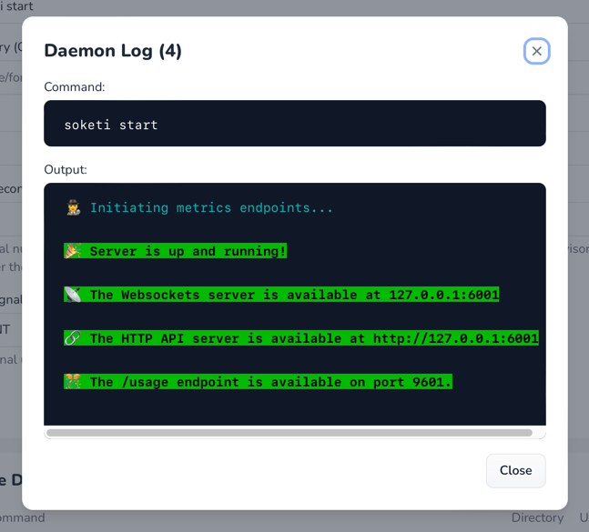 Checking The Soketi Service
